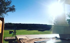 Olive Grove Guest Farm